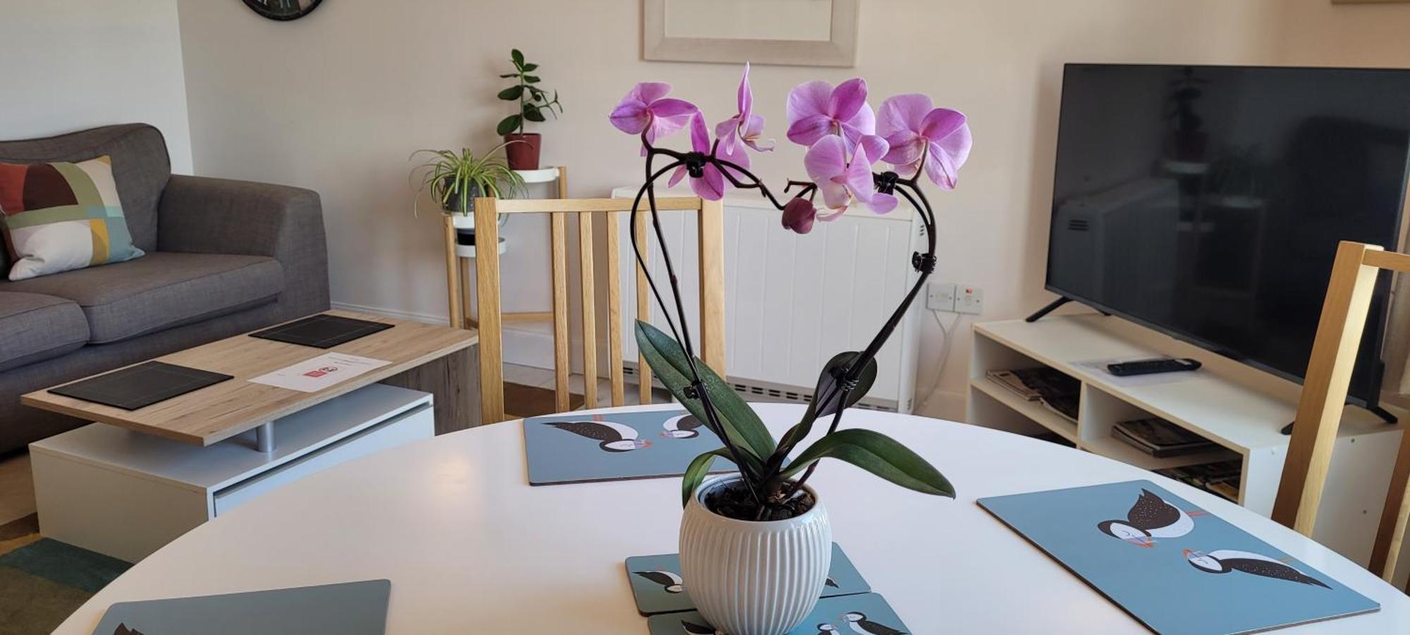 Heart Of Inverness-City Apartment 外观 照片